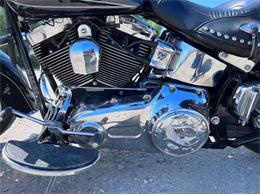 2009 Harley-Davidson Softail (CC-2111165) for sale in Cadillac, Michigan