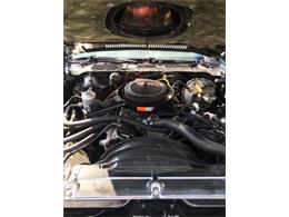 1981 Chevrolet Camaro (CC-2111173) for sale in Cadillac, Michigan