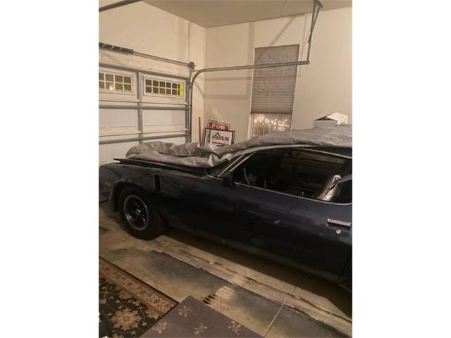 1981 Chevrolet Camaro (CC-2111173) for sale in Cadillac, Michigan