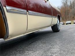 1981 GMC C15 (CC-2111182) for sale in Cadillac, Michigan