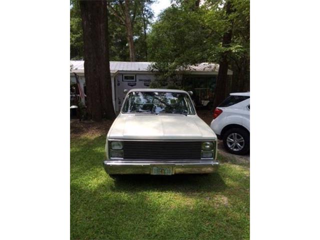 1984 Chevrolet Pickup (CC-2111185) for sale in Cadillac, Michigan