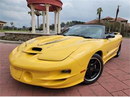 2002 Pontiac Firebird Trans Am (CC-2111186) for sale in Cadillac, Michigan