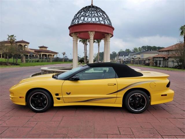 2002 Pontiac Firebird Trans Am (CC-2111186) for sale in Cadillac, Michigan
