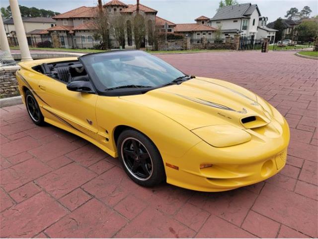 2002 Pontiac Firebird Trans Am (CC-2111186) for sale in Cadillac, Michigan