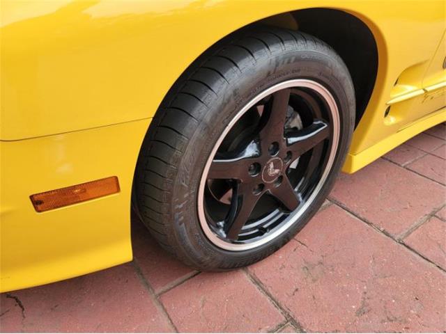 2002 Pontiac Firebird Trans Am (CC-2111186) for sale in Cadillac, Michigan