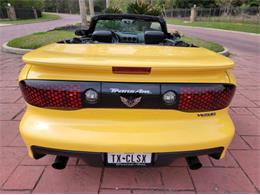 2002 Pontiac Firebird Trans Am (CC-2111186) for sale in Cadillac, Michigan