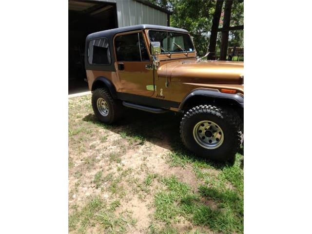 1986 Jeep CJ7 (CC-2111195) for sale in Cadillac, Michigan