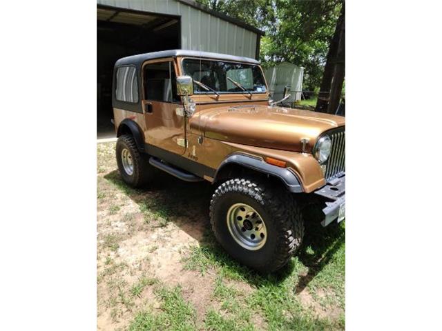 1986 Jeep CJ7 (CC-2111195) for sale in Cadillac, Michigan