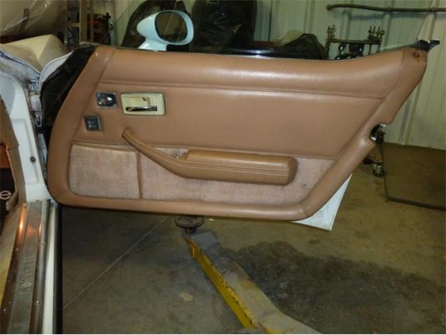 1981 Chevrolet Corvette (CC-2111204) for sale in Cadillac, Michigan
