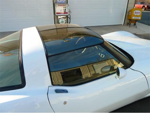 1981 Chevrolet Corvette (CC-2111204) for sale in Cadillac, Michigan