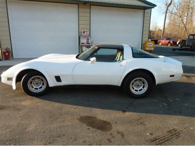 1981 Chevrolet Corvette (CC-2111204) for sale in Cadillac, Michigan