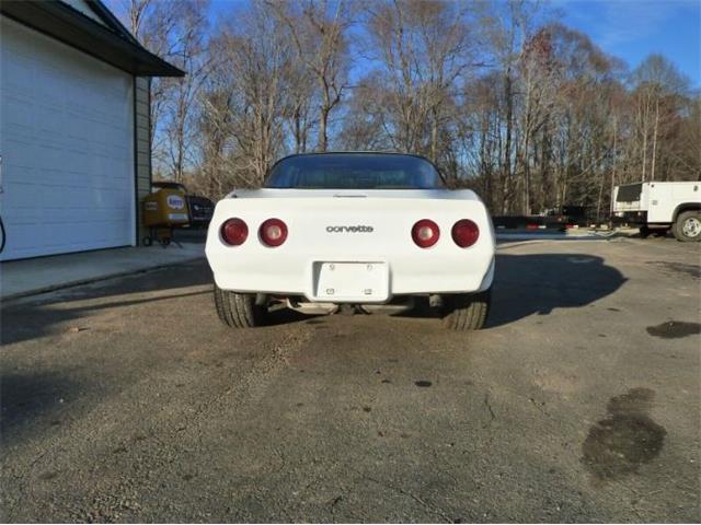 1981 Chevrolet Corvette (CC-2111204) for sale in Cadillac, Michigan