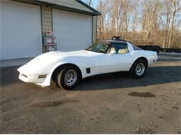 1981 Chevrolet Corvette (CC-2111204) for sale in Cadillac, Michigan
