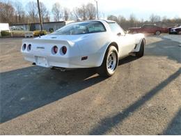 1981 Chevrolet Corvette (CC-2111204) for sale in Cadillac, Michigan