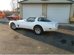 1981 Chevrolet Corvette (CC-2111204) for sale in Cadillac, Michigan