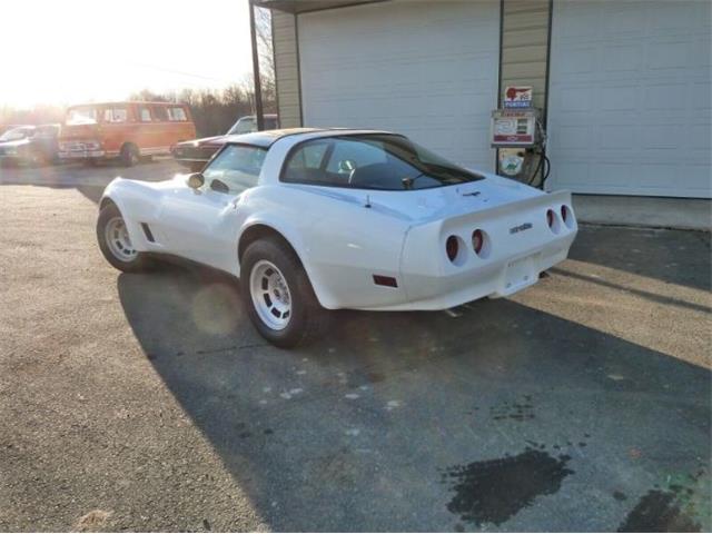 1981 Chevrolet Corvette (CC-2111204) for sale in Cadillac, Michigan
