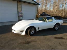 1981 Chevrolet Corvette (CC-2111204) for sale in Cadillac, Michigan