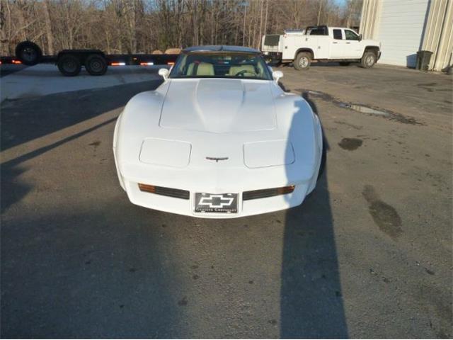 1981 Chevrolet Corvette (CC-2111204) for sale in Cadillac, Michigan