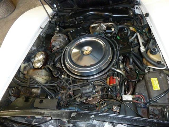 1981 Chevrolet Corvette (CC-2111204) for sale in Cadillac, Michigan