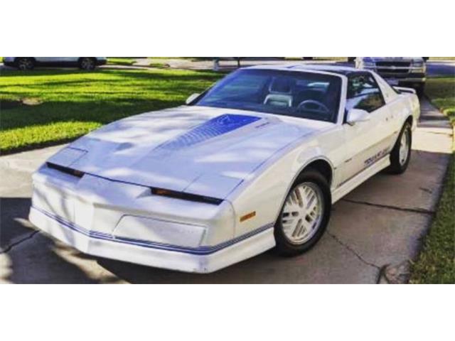 1984 Pontiac Firebird Trans Am (CC-2111207) for sale in Cadillac, Michigan