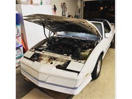 1984 Pontiac Firebird Trans Am (CC-2111207) for sale in Cadillac, Michigan