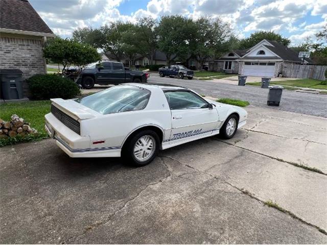 1984 Pontiac Firebird Trans Am (CC-2111207) for sale in Cadillac, Michigan