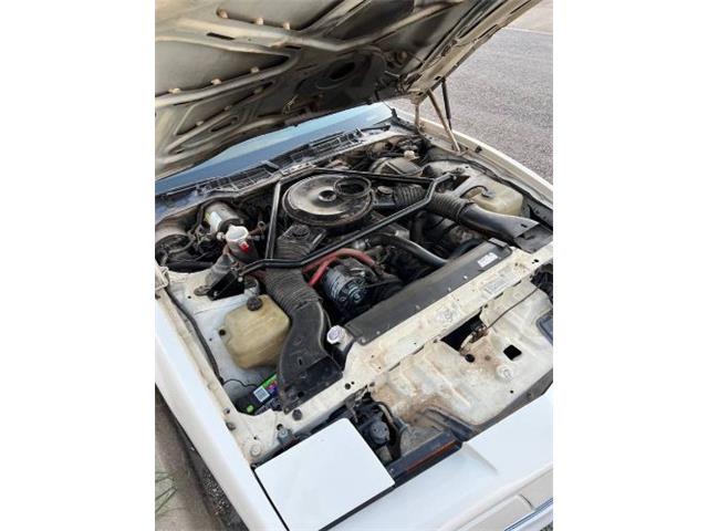 1984 Pontiac Firebird Trans Am (CC-2111207) for sale in Cadillac, Michigan