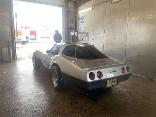 1981 Chevrolet Corvette (CC-2111212) for sale in Cadillac, Michigan