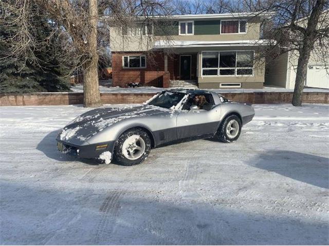 1981 Chevrolet Corvette (CC-2111212) for sale in Cadillac, Michigan