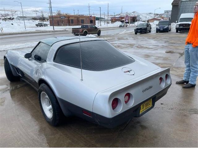 1981 Chevrolet Corvette (CC-2111212) for sale in Cadillac, Michigan