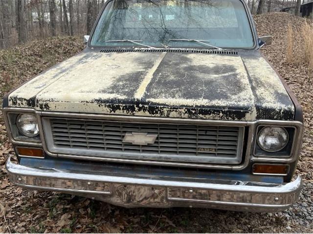 1974 Chevrolet Cheyenne (CC-2111218) for sale in Cadillac, Michigan