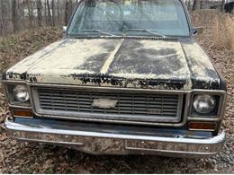 1974 Chevrolet Cheyenne (CC-2111218) for sale in Cadillac, Michigan