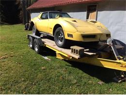 1980 Chevrolet Corvette (CC-2111224) for sale in Cadillac, Michigan