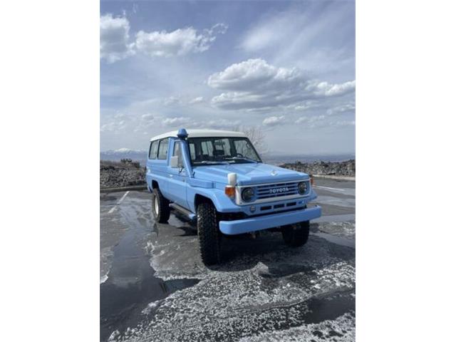 1994 Toyota Land Cruiser (CC-2111233) for sale in Cadillac, Michigan