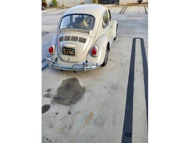 1968 Volkswagen Beetle (CC-2111234) for sale in Cadillac, Michigan