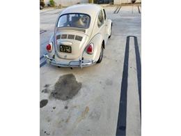 1968 Volkswagen Beetle (CC-2111234) for sale in Cadillac, Michigan
