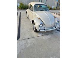 1968 Volkswagen Beetle (CC-2111234) for sale in Cadillac, Michigan