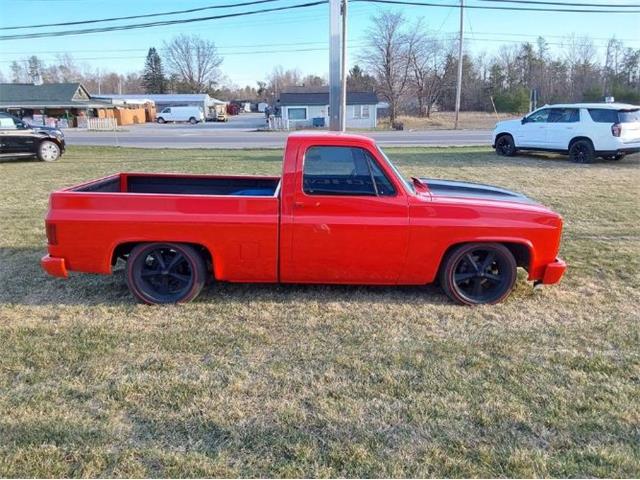 1986 Chevrolet Custom (CC-2111244) for sale in Cadillac, Michigan