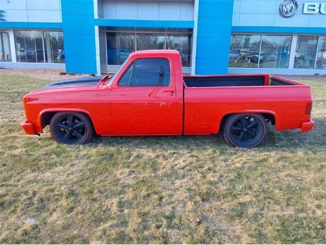 1986 Chevrolet Custom (CC-2111244) for sale in Cadillac, Michigan
