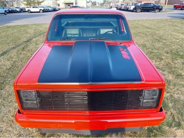 1986 Chevrolet Custom (CC-2111244) for sale in Cadillac, Michigan