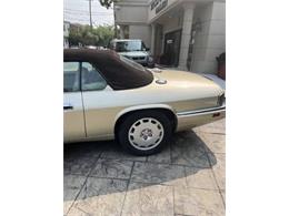 1996 Jaguar XJS (CC-2111255) for sale in Cadillac, Michigan