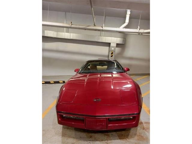1987 Chevrolet Corvette (CC-2111256) for sale in Cadillac, Michigan