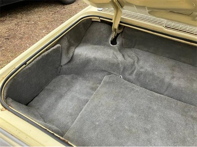 1966 Ford Thunderbird (CC-2111261) for sale in Cadillac, Michigan