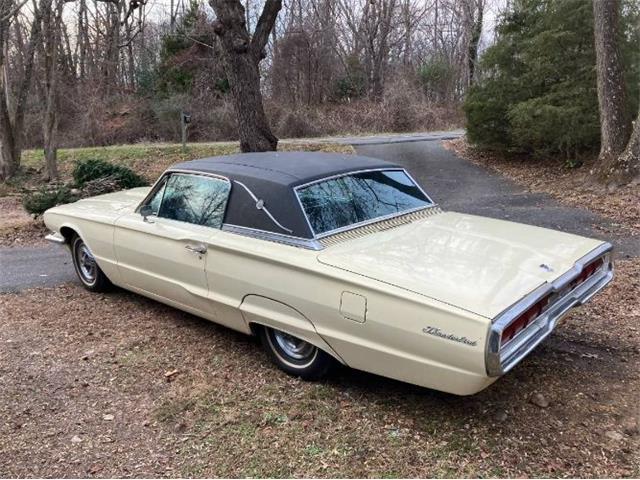 1966 Ford Thunderbird (CC-2111261) for sale in Cadillac, Michigan