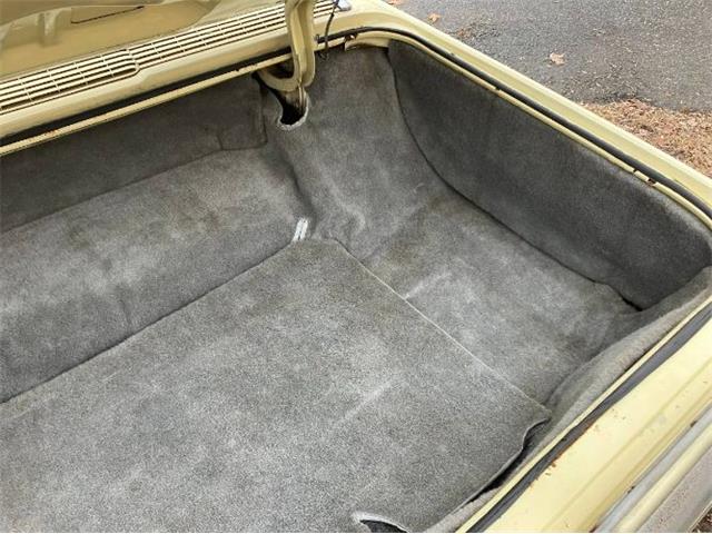 1966 Ford Thunderbird (CC-2111261) for sale in Cadillac, Michigan