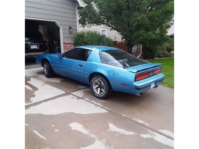 1988 Pontiac Firebird (CC-2111264) for sale in Cadillac, Michigan