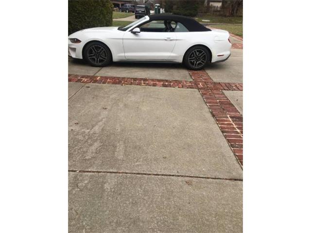 2018 Ford Mustang (CC-2111277) for sale in Cadillac, Michigan