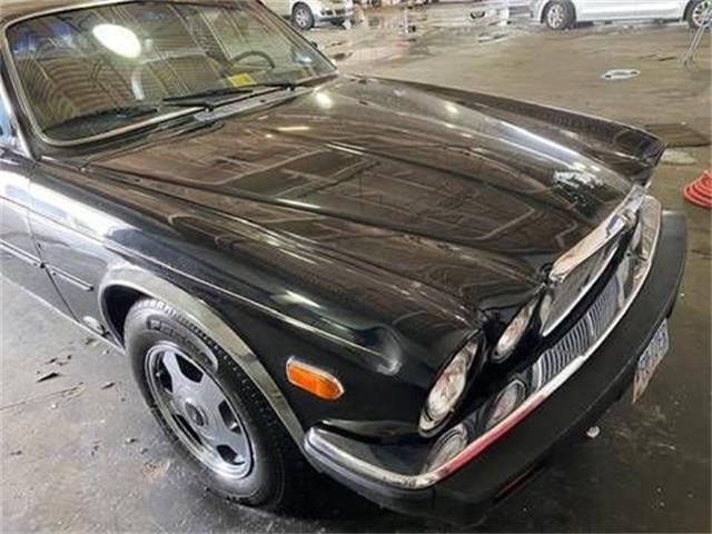 1983 Jaguar XJ6 (CC-2110128) for sale in Cadillac, Michigan