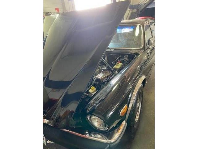 1983 Jaguar XJ6 (CC-2110128) for sale in Cadillac, Michigan