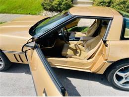 1984 Chevrolet Corvette (CC-2111288) for sale in Cadillac, Michigan
